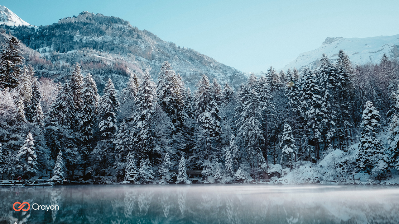 winter photo backgrounds